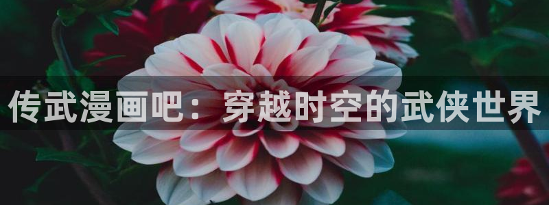 羞羞漫画网址免费观看