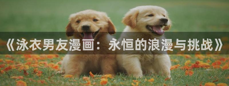 羞羞漫画页面在线免费观看：《泳衣男友漫画：永恒的浪漫与挑战》