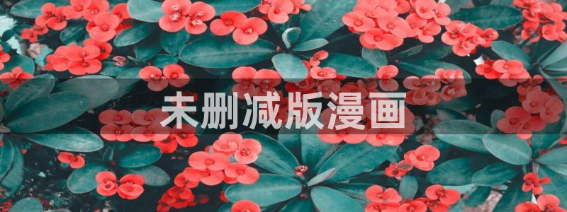 羞羞漫画app正式版下载