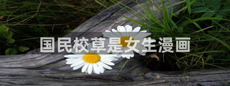 羞羞漫画免费漫画入口页面在线阅读