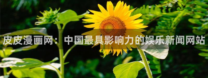 羞羞漫画成年人看的漫画