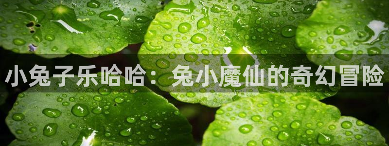 羞羞漫画免费全集